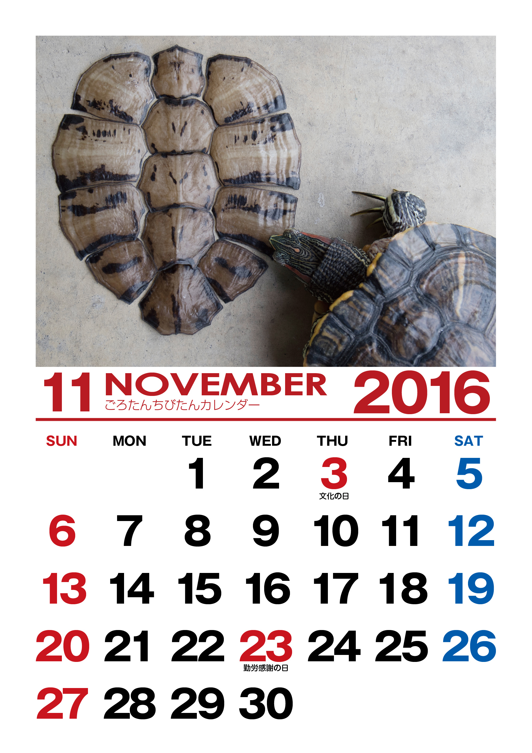 ごろたんずカレンダー Turtle56tan Com Part 3