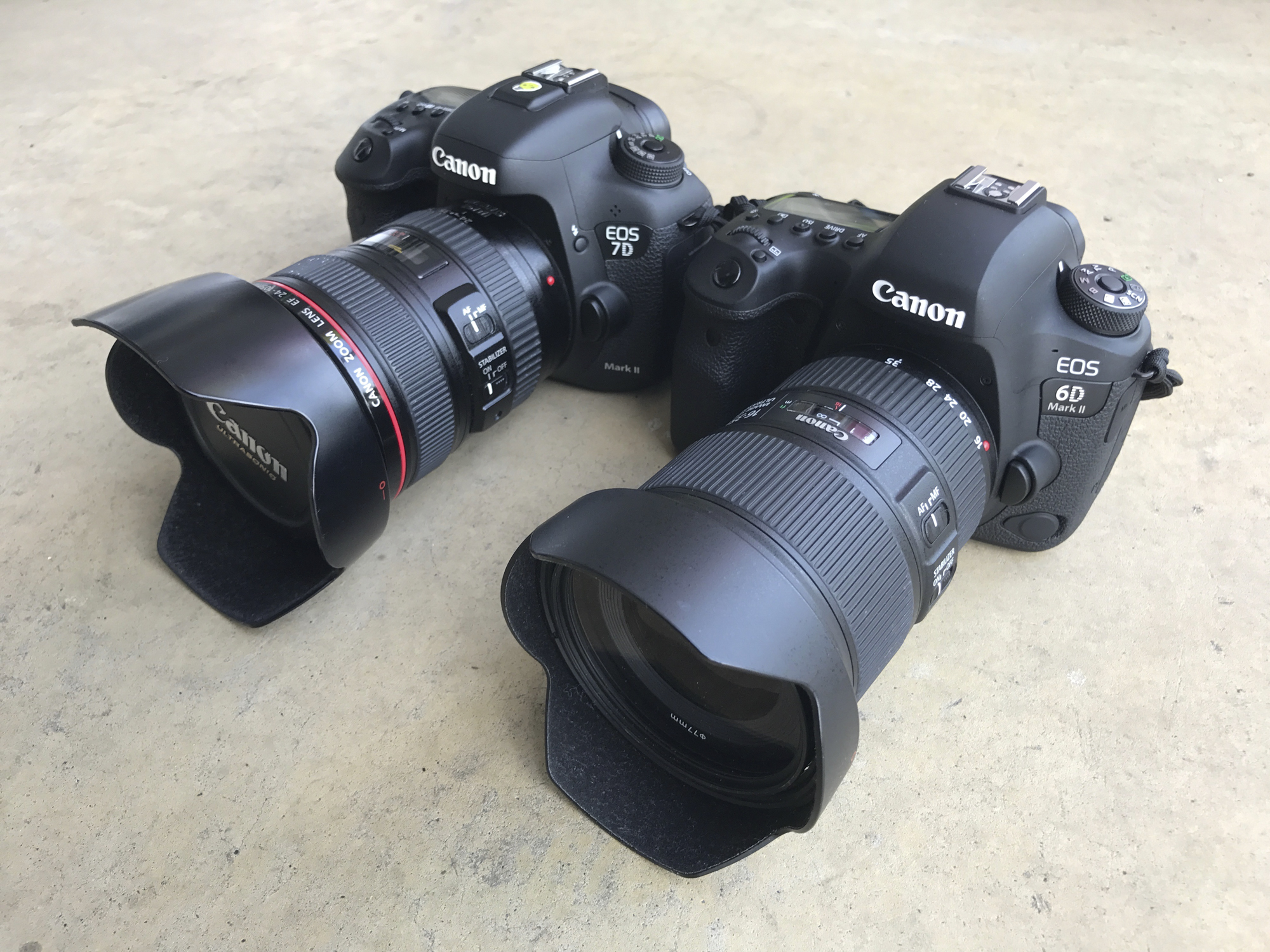 Canon EOS 6D MARK2 ボディ&EF 50mm F1.8 STM - カメラ